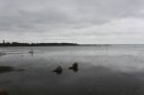 Lac de Grand-Lieu
